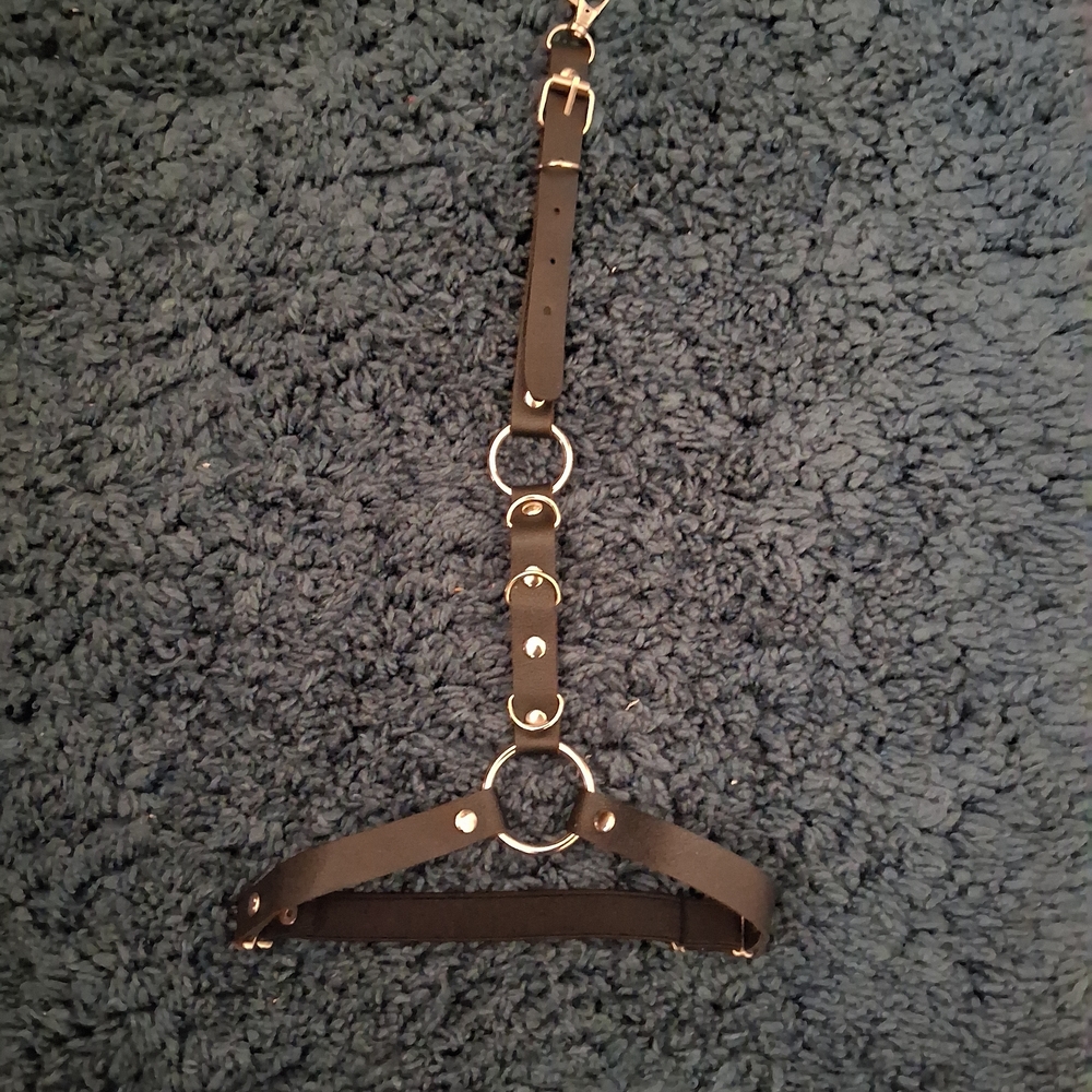 Brown Leather Harness Accessory